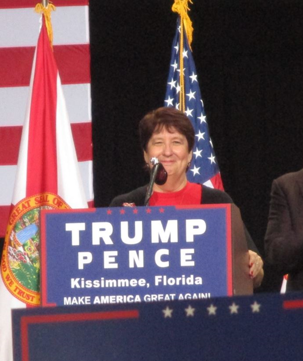 Dena Stebbins DeCamp Proven Conservative Leadership